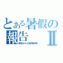 とある暑假の報告Ⅱ（報告される夏期休暇）