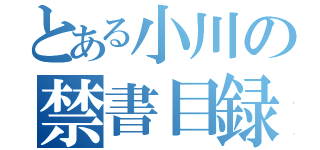 とある小川の禁書目録（）