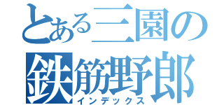 とある三園の鉄筋野郎（インデックス）