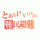 とあるＰＹＯＫＯの難民避難所（シェルター）