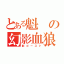 とある魁の幻影血狼（影ゴースト）