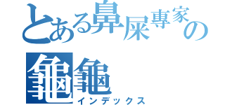 とある鼻屎專家中の龜龜（インデックス）