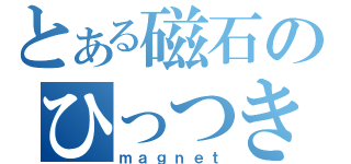 とある磁石のひっつき虫（ｍａｇｎｅｔ）