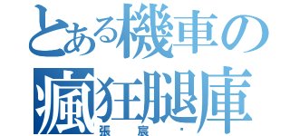 とある機車の瘋狂腿庫飯（張宸瑋）