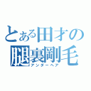 とある田才の腿裏剛毛（アンダーヘア）