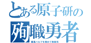 とある原子研の殉職勇者（蒸気バルブを閉めて熱傷死）