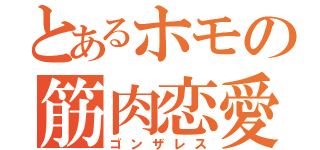 とあるホモの筋肉恋愛（ゴンザレス）