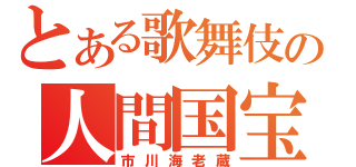 とある歌舞伎の人間国宝（市川海老蔵）