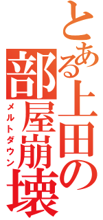 とある上田の部屋崩壊（メルトダウン）