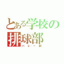 とある学校の排球部（バレー部）