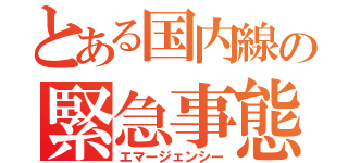 とある国内線の緊急事態（エマージェンシー）