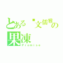 とある溫文儒雅の果凍（Ｐｒｏｍｉｓｅ）