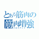 とある筋肉の筋肉増強（バルクアップ）