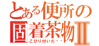 とある便所の固着茶物Ⅱ（こびり付いた💩）