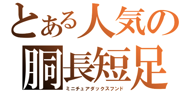 とある人気の胴長短足（ミニチュアダックスフンド）