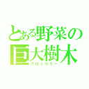 とある野菜の巨大樹木（ブロッコリー）