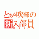 とある吹部の新入部員（はるか）