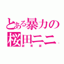 とある暴力の桜田ニニ（謝育潔）