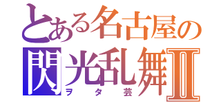 とある名古屋の閃光乱舞Ⅱ（ヲタ芸）