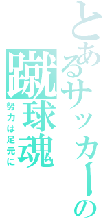 とあるサッカー馬鹿の蹴球魂（努力は足元に）