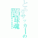 とあるサッカー馬鹿の蹴球魂（努力は足元に）