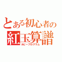 とある初心者の紅玉算譜（ルビープログラム）