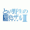 とある野生の黒色ザルⅡ（河野梓里）