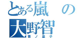 とある嵐の大野智（青ノ皇子）