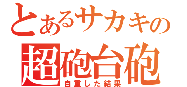 とあるサカキの超砲台砲（自重した結果）