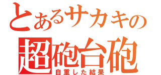 とあるサカキの超砲台砲（自重した結果）