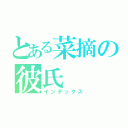 とある菜摘の彼氏（インデックス）