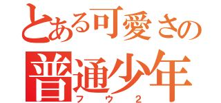 とある可愛さの普通少年（フウ２）