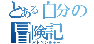 とある自分の冒険記（アドベンチャー）