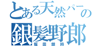 とある天然パーマの銀髪野郎（坂田銀時）