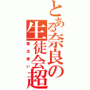 とある奈良の生徒会超（魔法使い）