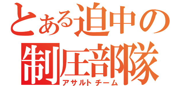 とある迫中の制圧部隊（アサルトチーム）