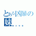 とある凶暴の妹（南川怜香）