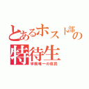 とあるホスト部の特待生（学院唯一の庶民）