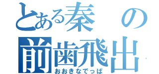 とある秦の前歯飛出（おおきなでっぱ）