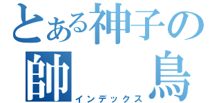 とある神子の帥  鳥（インデックス）