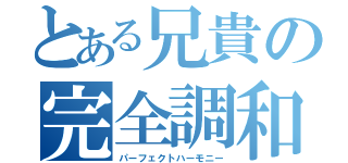 とある兄貴の完全調和（パーフェクトハーモニー）