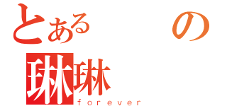 とある楊楊の琳琳（ｆｏｒｅｖｅｒ）