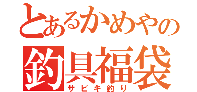 とあるかめやの釣具福袋（サビキ釣り）