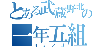 とある武蔵野北の一年五組（イチノゴ）