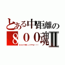 とある中距離の８００魂Ⅱ（８００で県いってやる！！！）