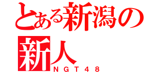 とある新潟の新人（ＮＧＴ４８）