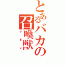 とあるバカの召喚獣（サモン）