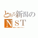 とある新潟のＮＳＴ（昔は日テレ・テレ朝とのトリプルネット）