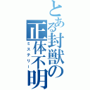 とある封獣の正体不明（ミステリー）