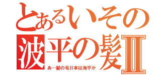 とあるいその波平の髪Ⅱ（あ…髪の毛Ⅱ本は海平か）